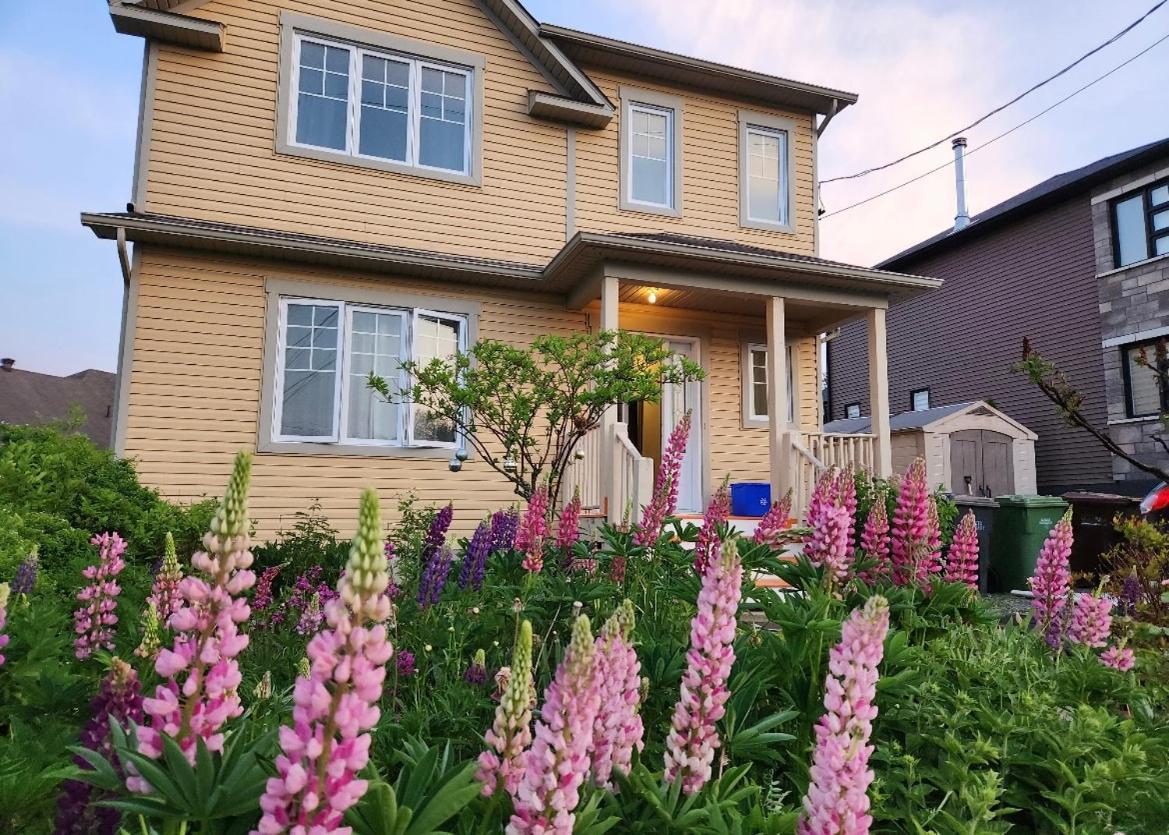 Maison Chaleureuse, Energetique Et Florale *